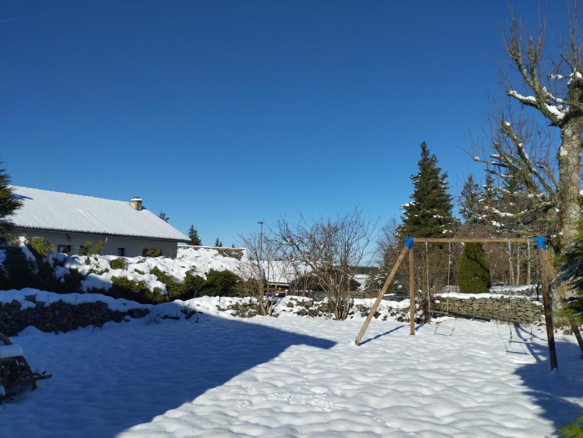 Studio "Les Planchettes" Fay-sur-Lignon Eksteriør billede